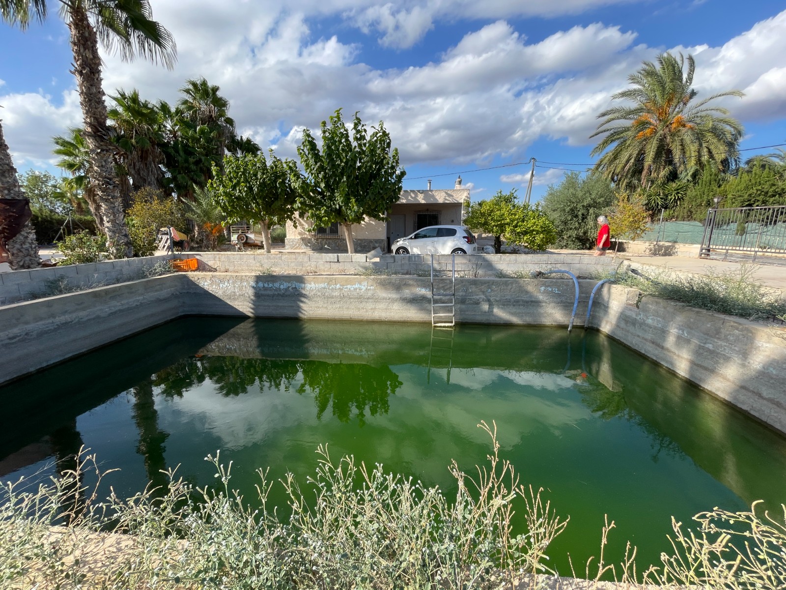 Garden in villa for sale in Crevillent