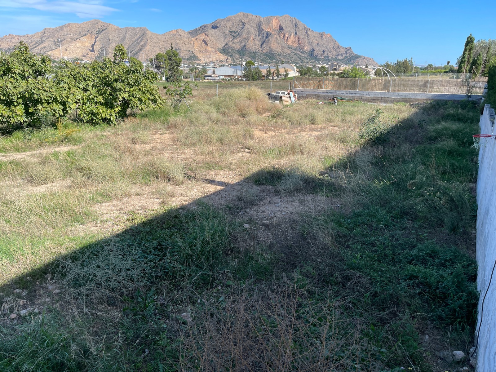 Exterior view in villa for sale in Orihuela