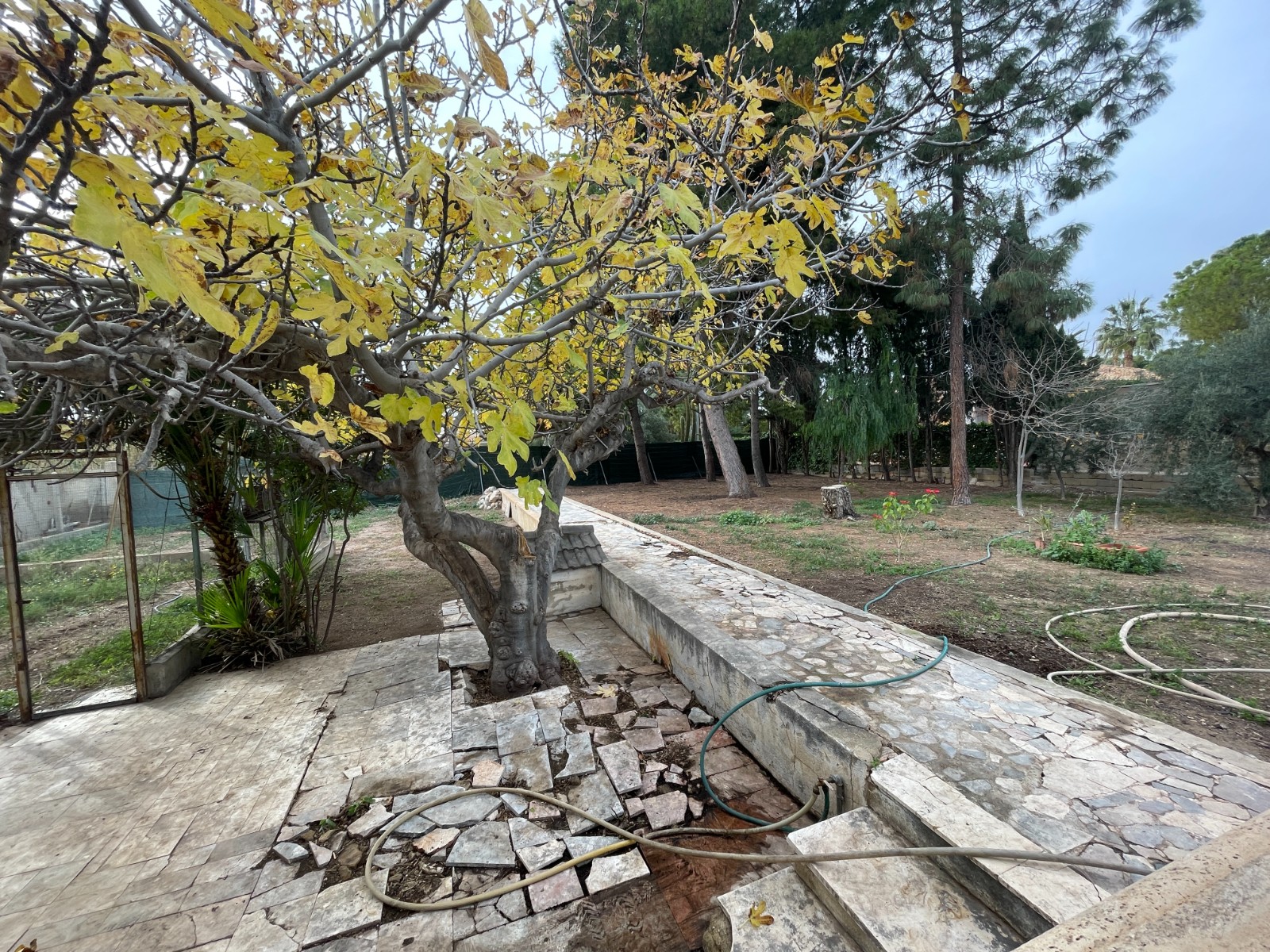 Garden in villa for sale in Elche