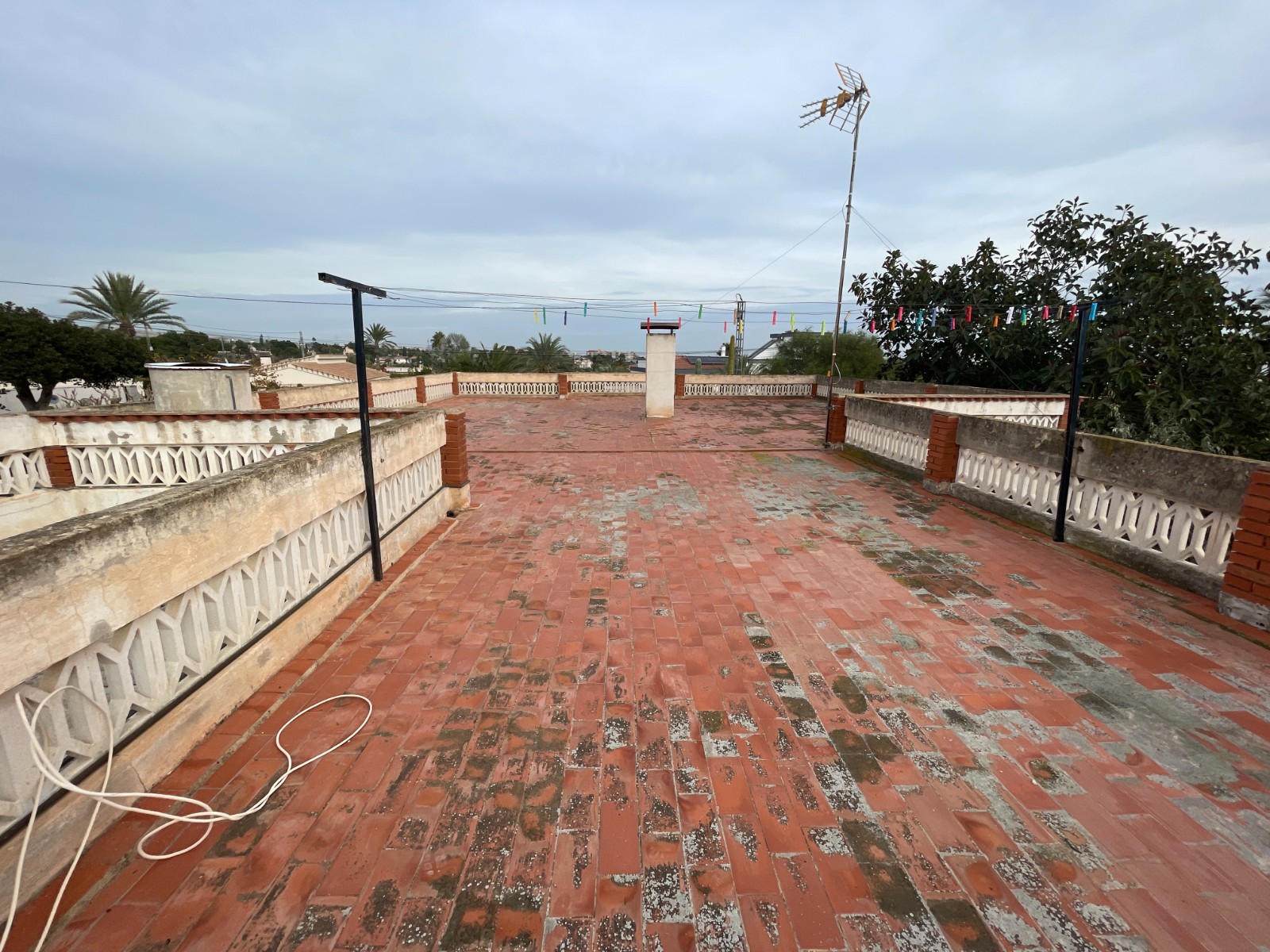 Garden in villa for sale in Elche