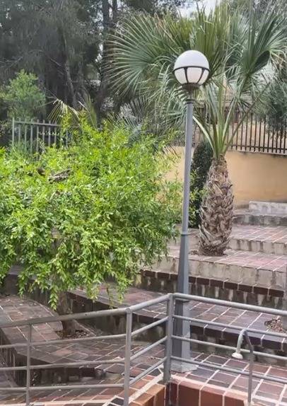 Bedrooms: 6, Bathrooms: 7, Villa in El Palmar, Murcia, Spain