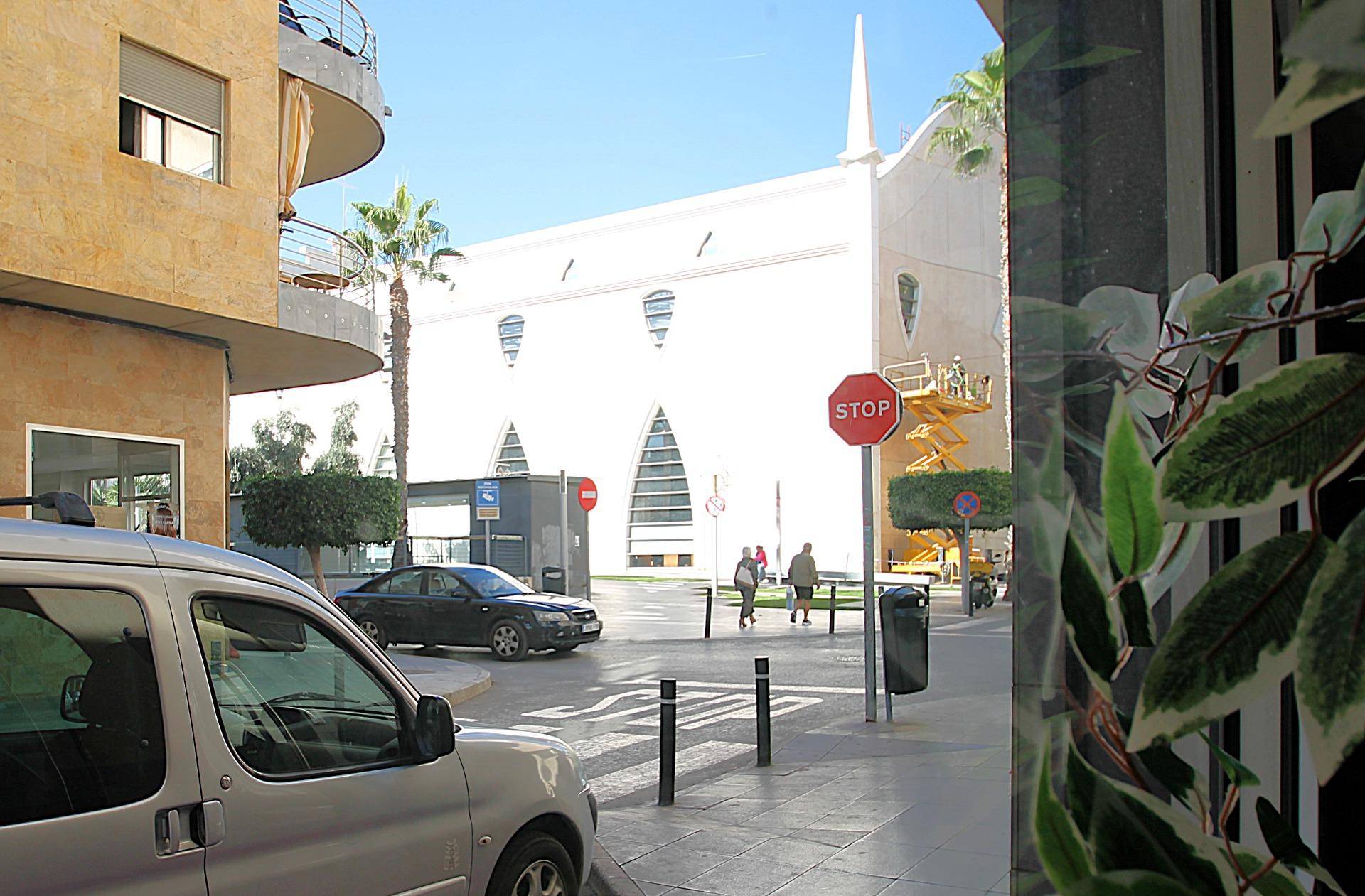Garden in commercial for sale in Torrevieja