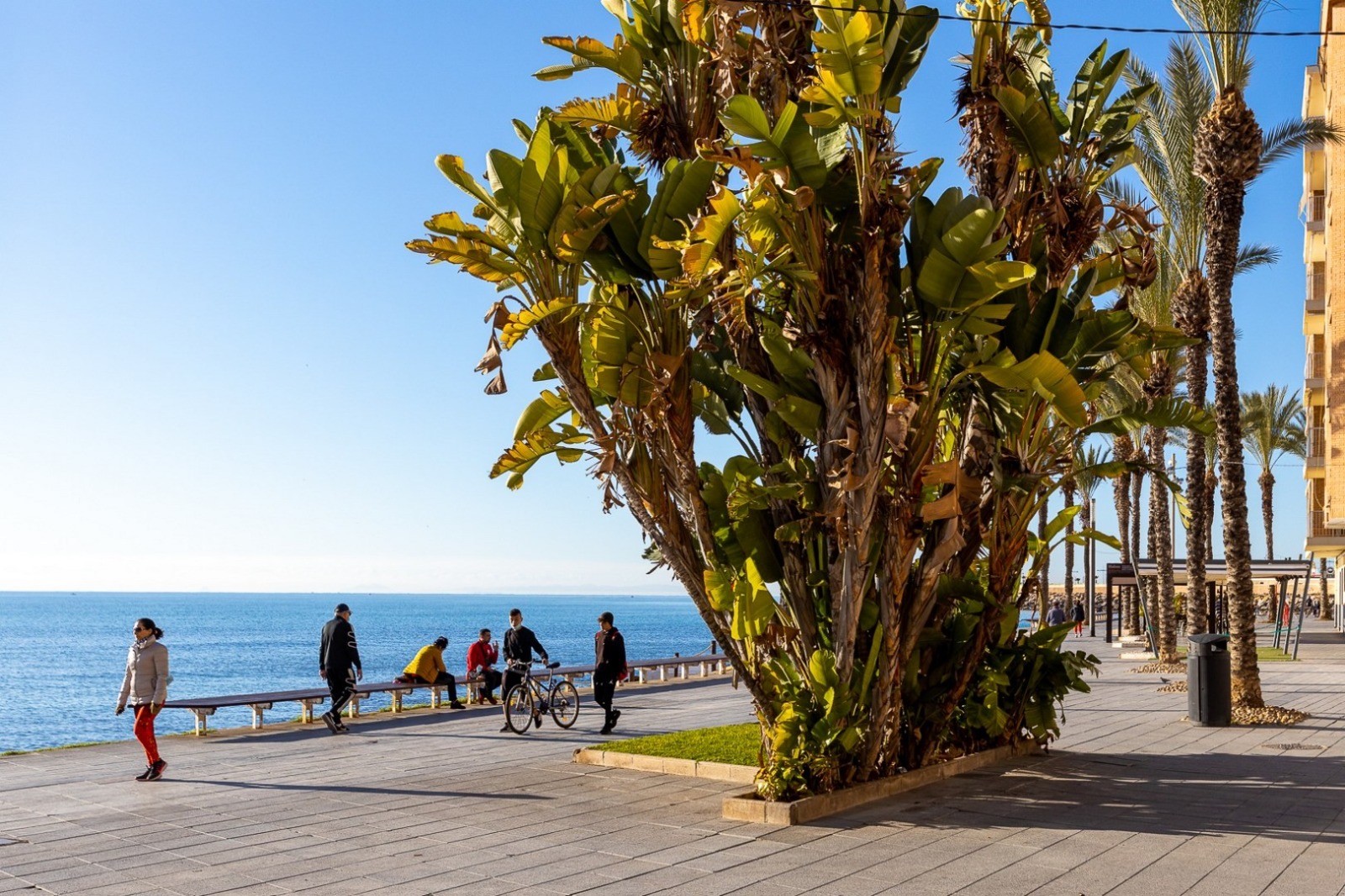 Exterior view in apartment for sale in Torrevieja