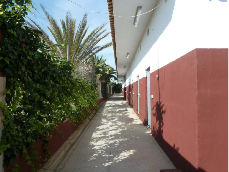 Garden in land for sale in San Miguel de Salinas