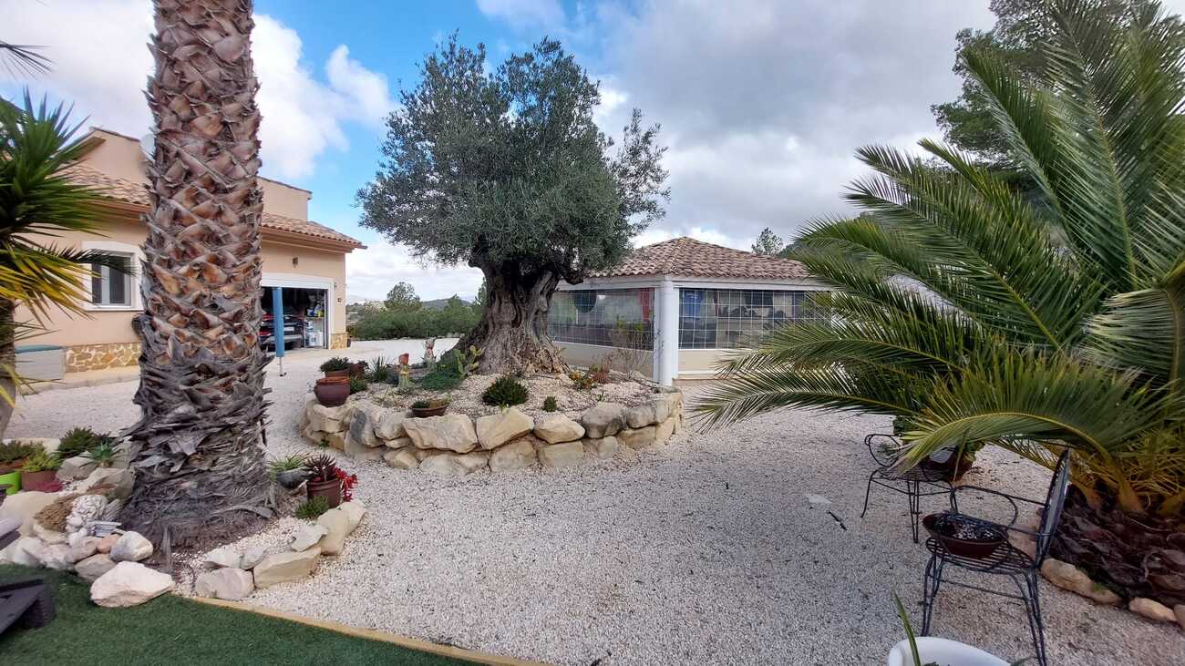 Garden in villa for sale in Abanilla