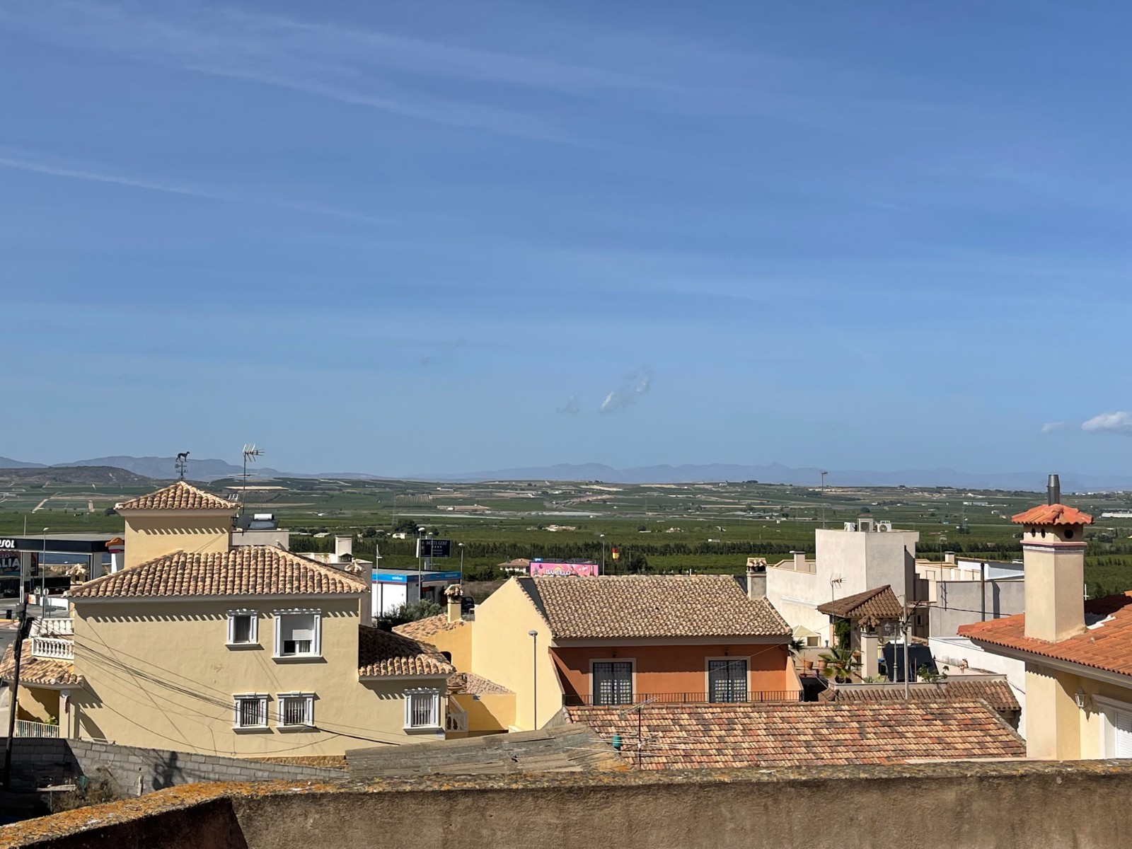 Garden in villa for sale in San Miguel de Salinas