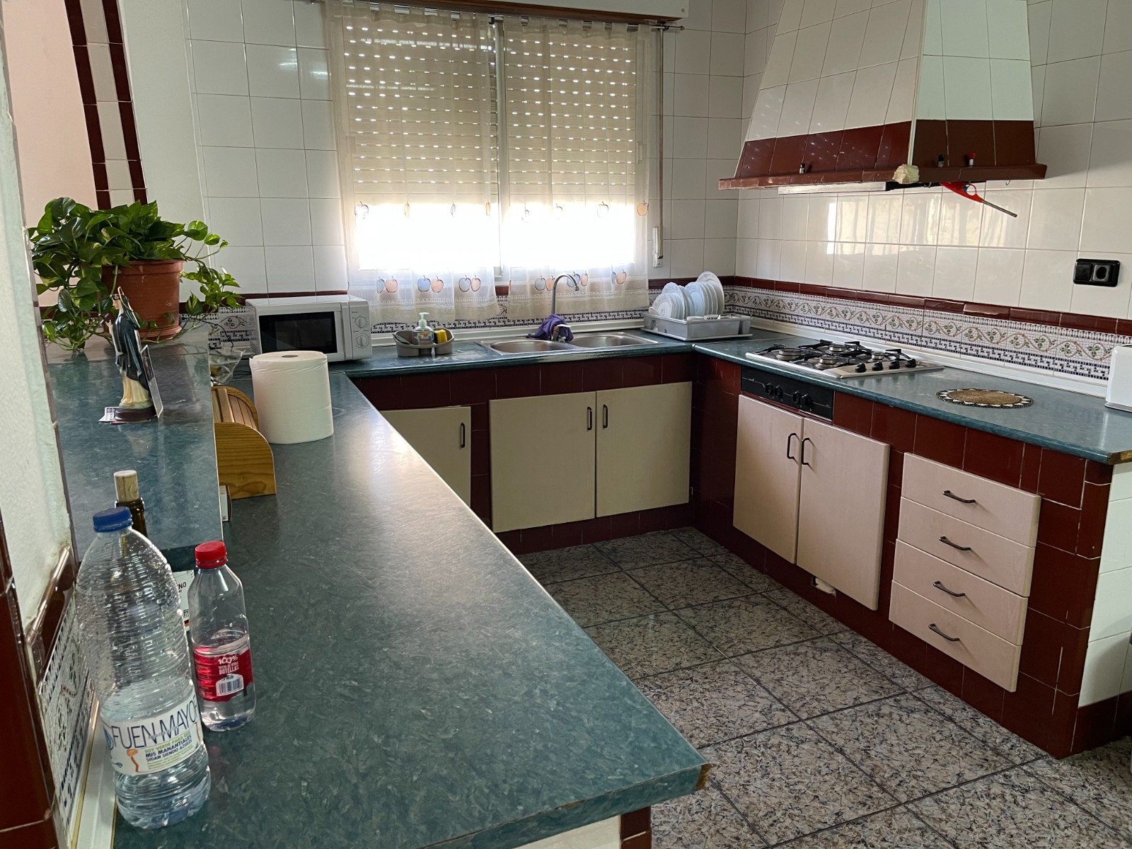 Garden in villa for sale in San Miguel de Salinas