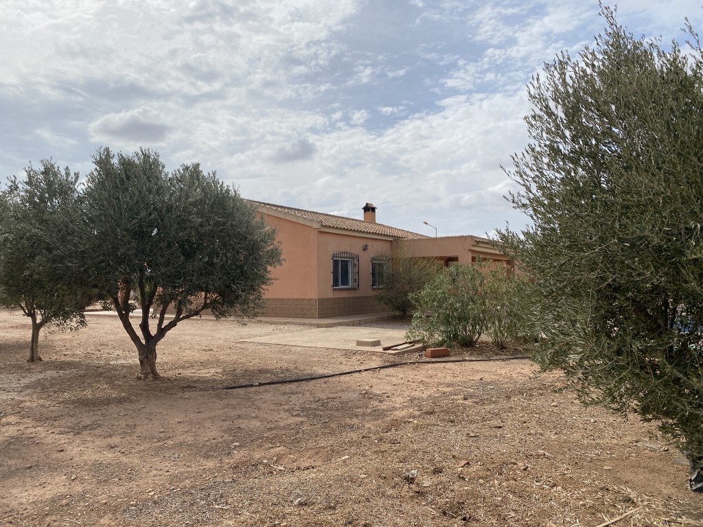 Garden in terraced for sale in Fuente Alamo