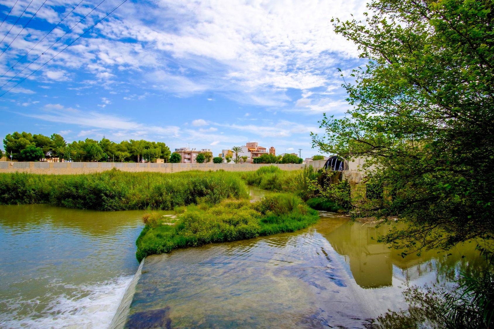 Pool area in apartment for sale in Formentera del Segura