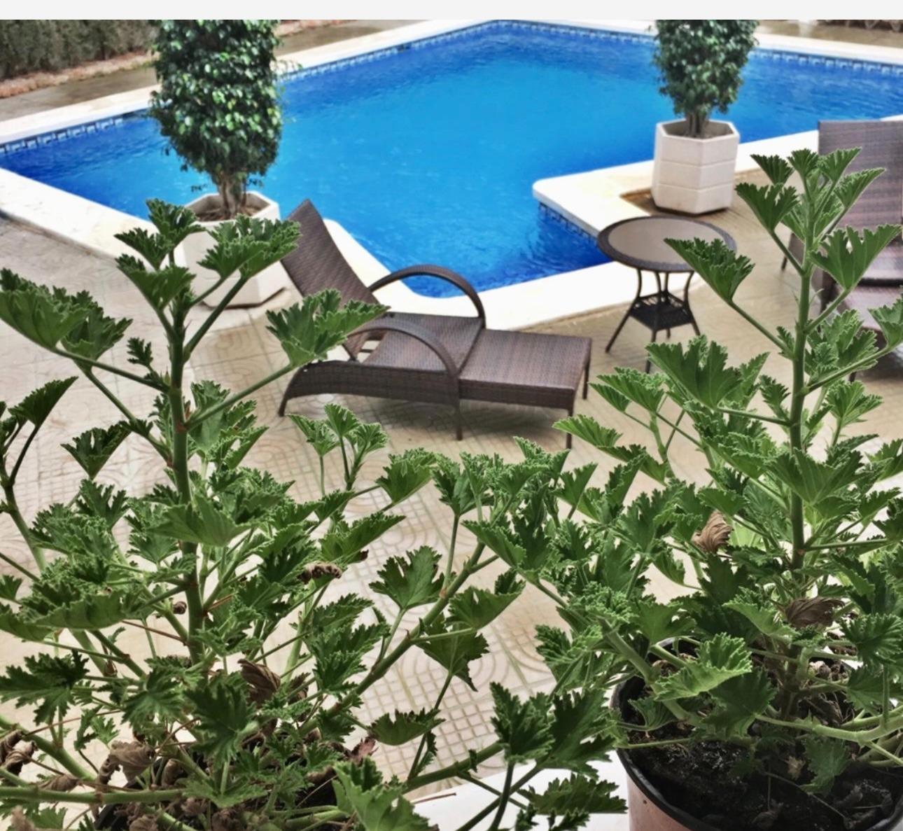 Master bedroom in villa for sale in Ciudad Quesada