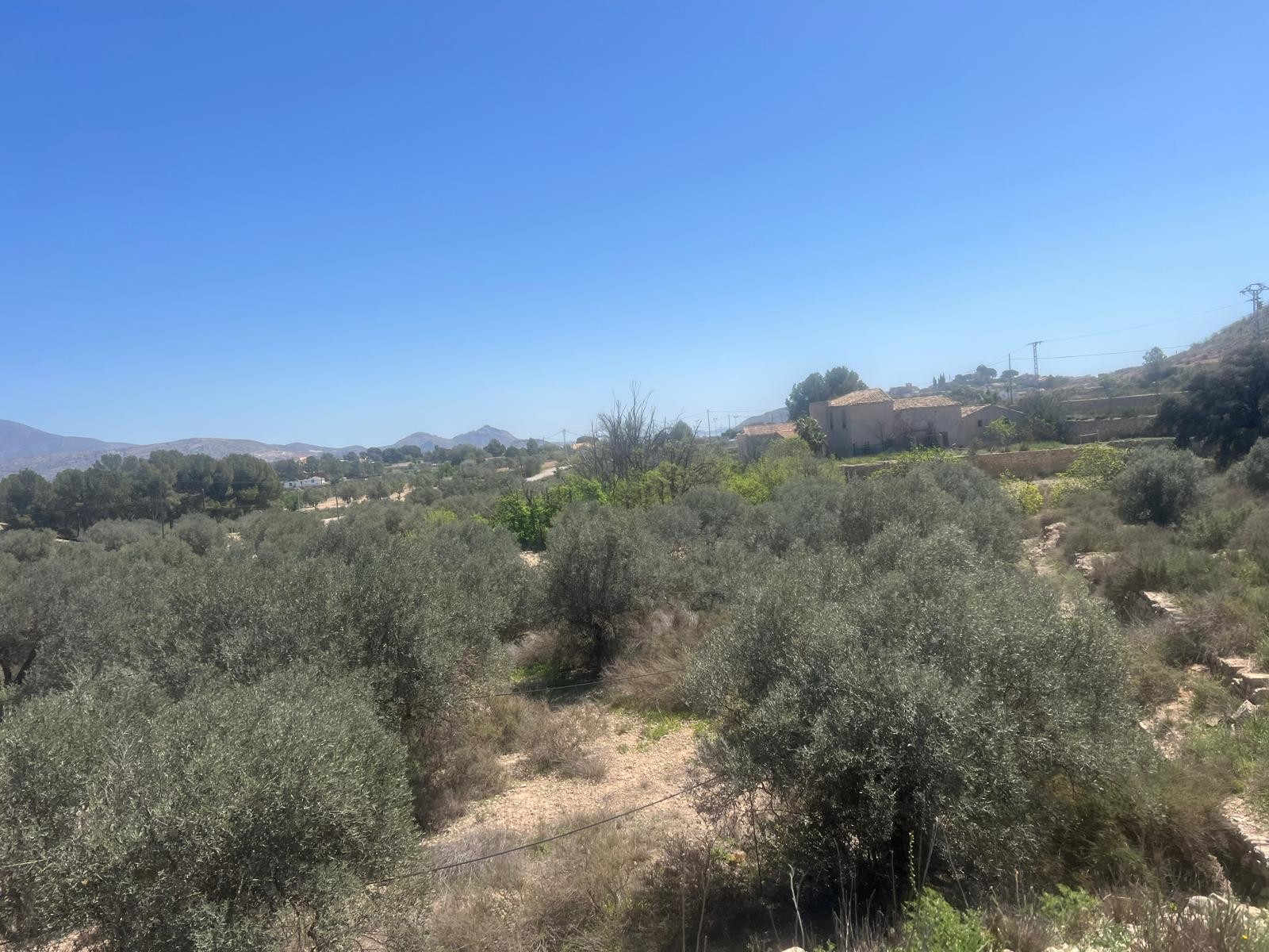 Pool area in land for sale in Monóvar/Monóver