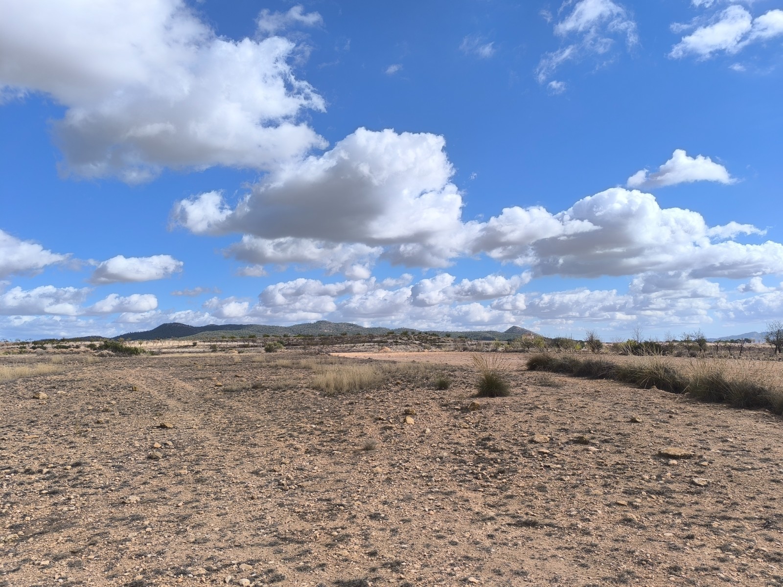 Bedroom in land for sale in Pinoso