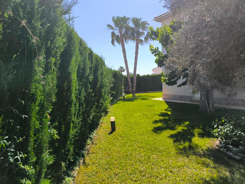 Garden in villa for sale in Torrevieja