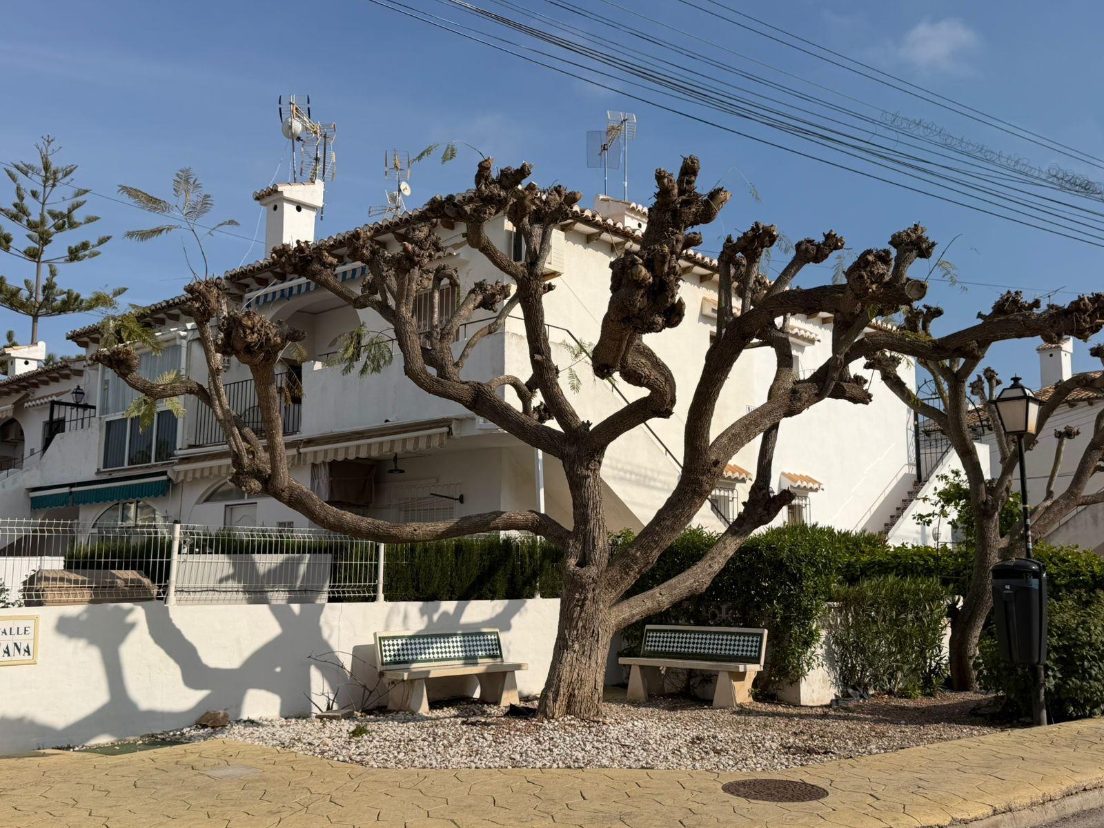 Kitchen in apartment for sale in Torrevieja