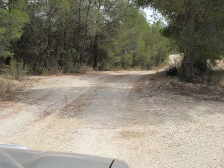 Exterior view in land for sale in Murcia