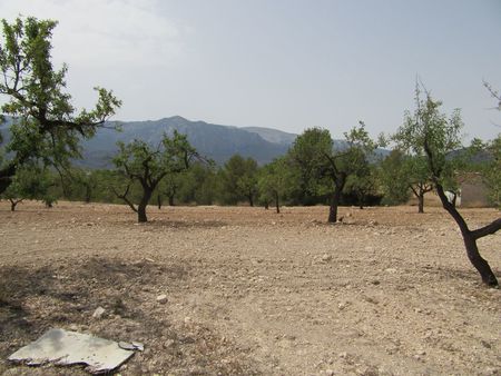 Bathroom in land for sale in Murcia