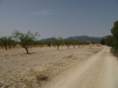 Dining area in land for sale in Murcia