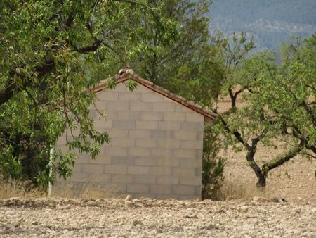Exterior view in land for sale in Murcia