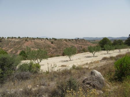 Terrace in land for sale in Murcia