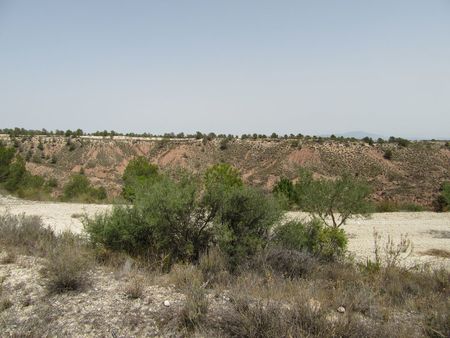Pool area in land for sale in Murcia