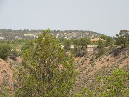 Terrace in land for sale in Murcia