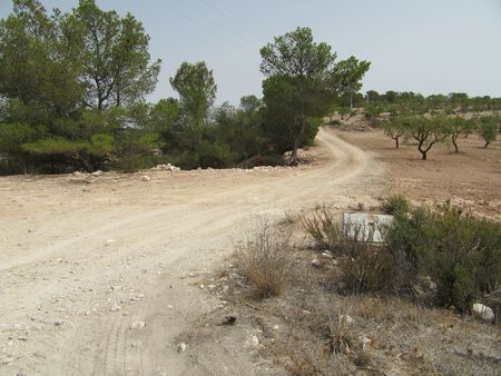 Garden in land for sale in Murcia