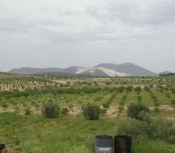 Pool area in land for sale in Abanilla