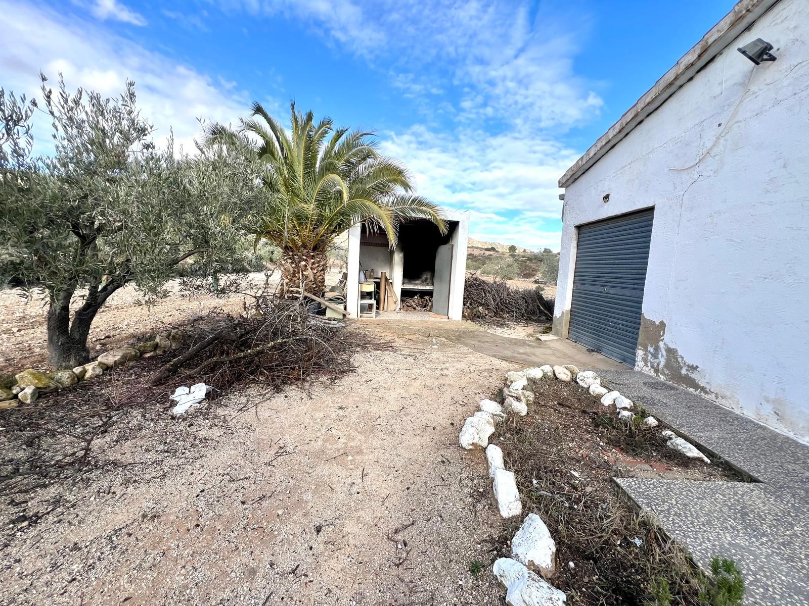Garden in villa for sale in Monóvar/Monóver
