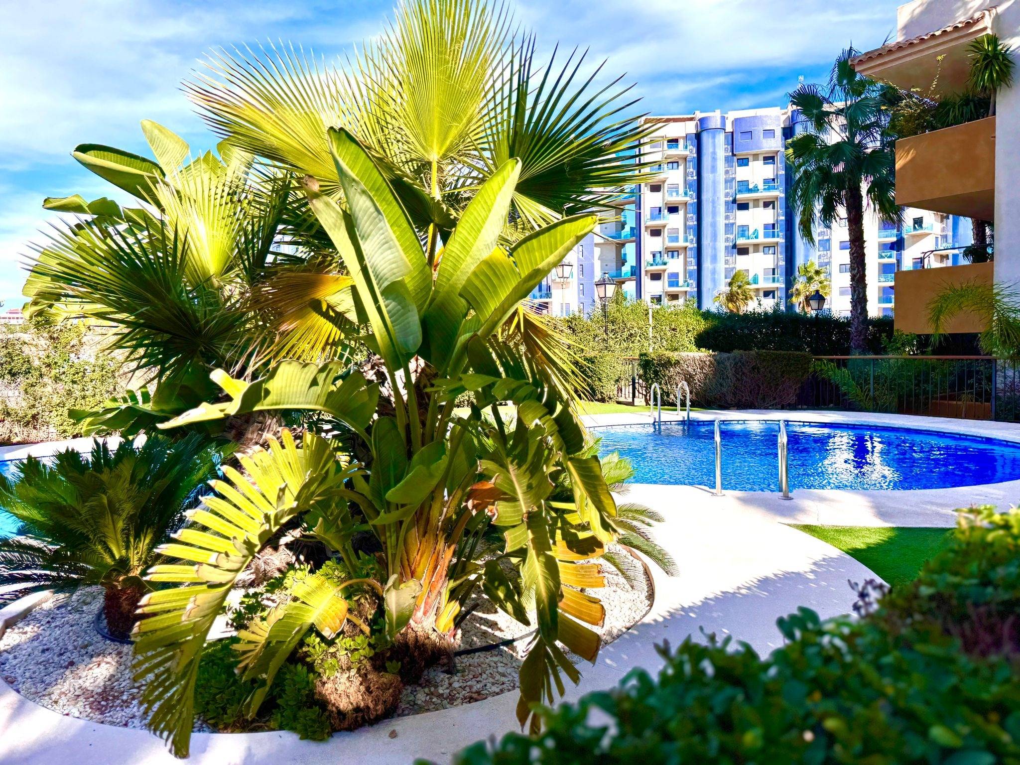 Exterior view in apartment for sale in Torrevieja