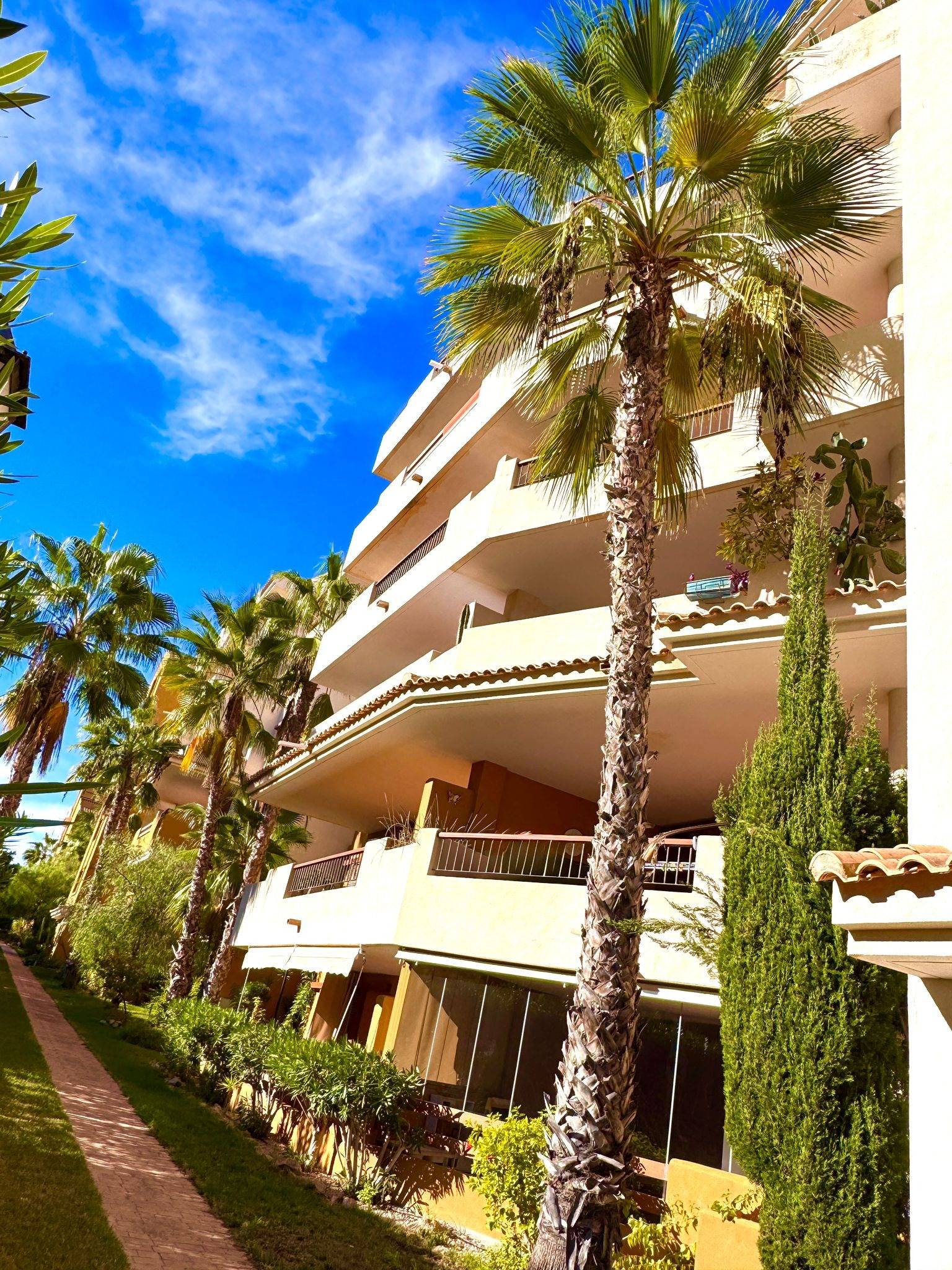 Terrace in apartment for sale in Torrevieja