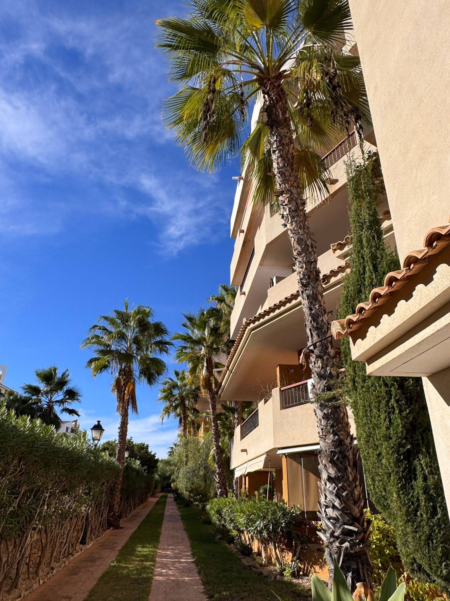 Terrace in apartment for sale in Torrevieja