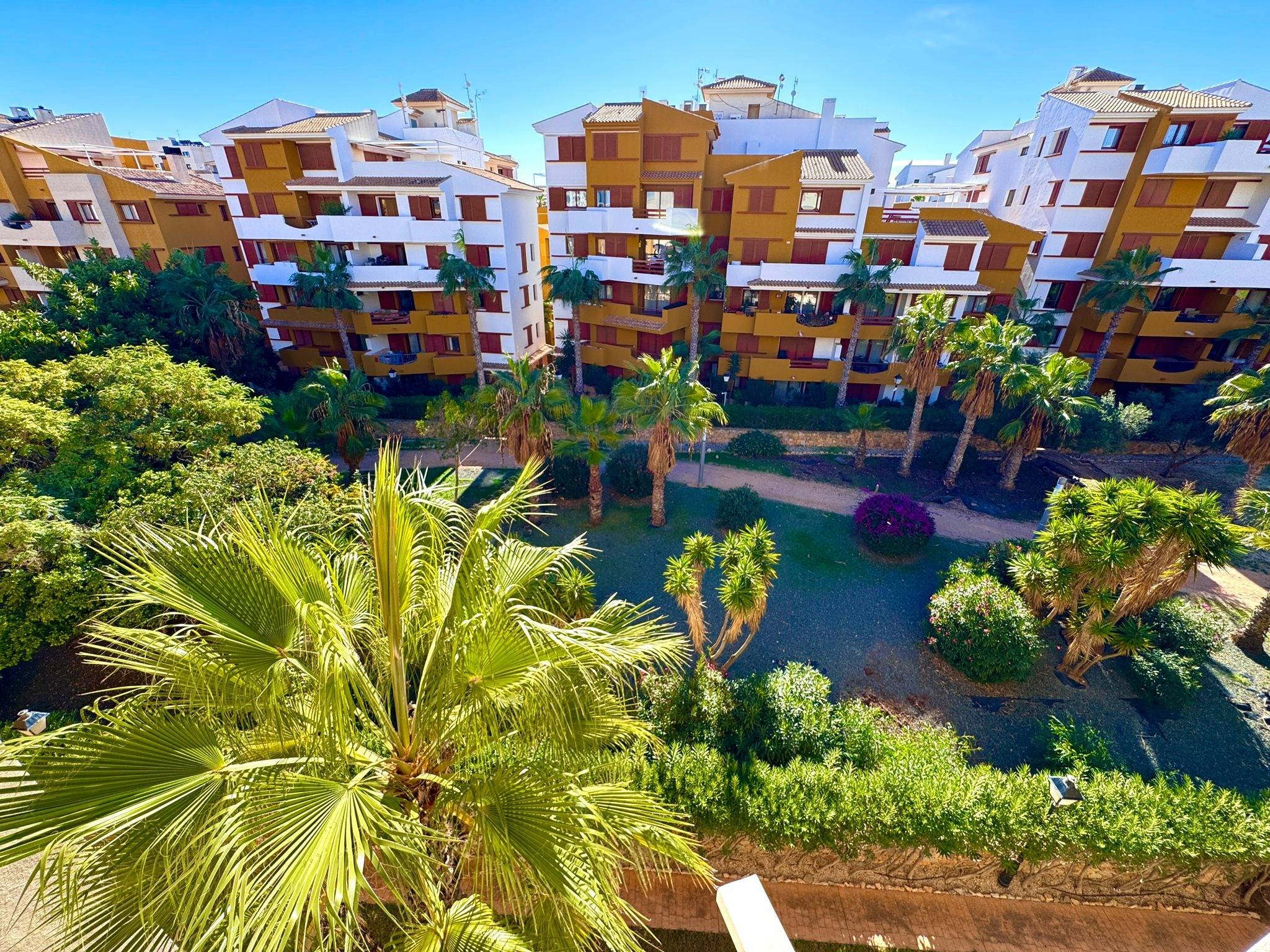Pool area in apartment for sale in Torrevieja