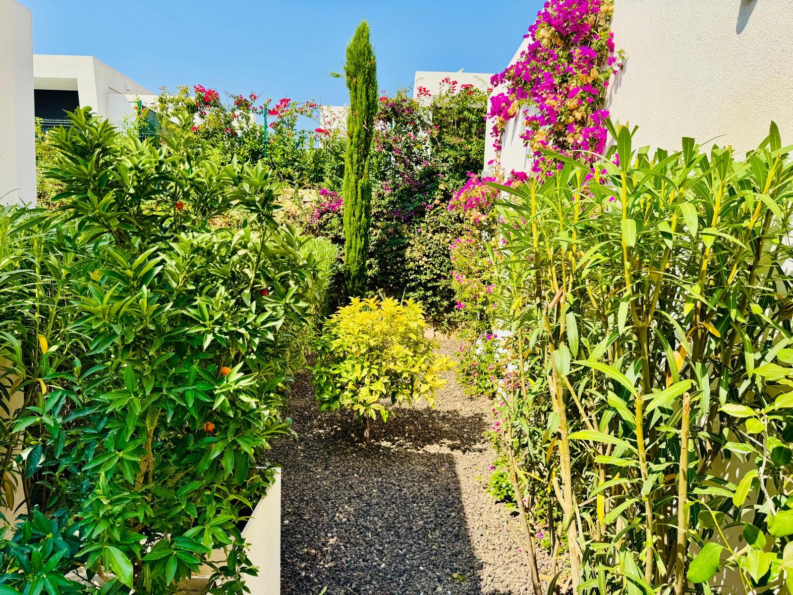 Kitchen in villa for sale in Algorfa