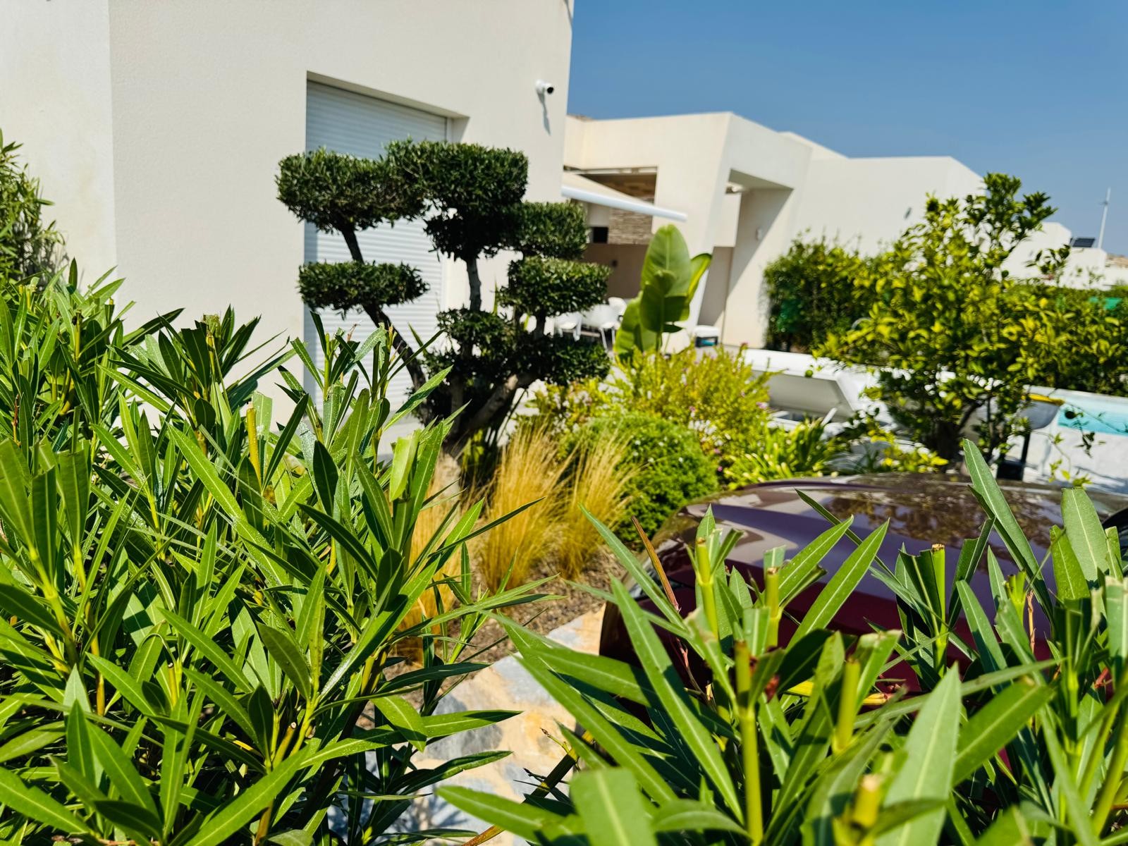 Pool area in villa for sale in Algorfa