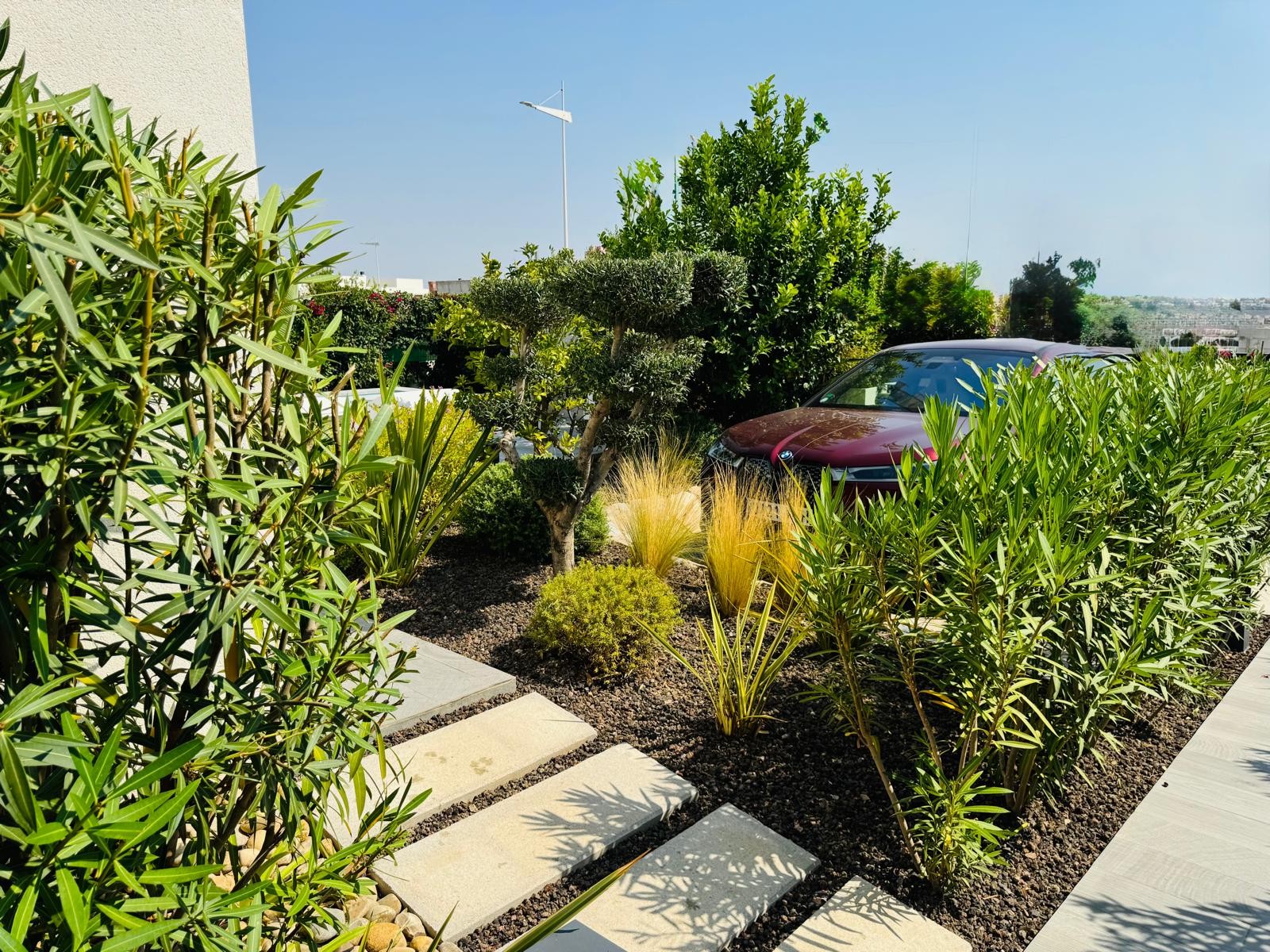 Garden in villa for sale in Algorfa