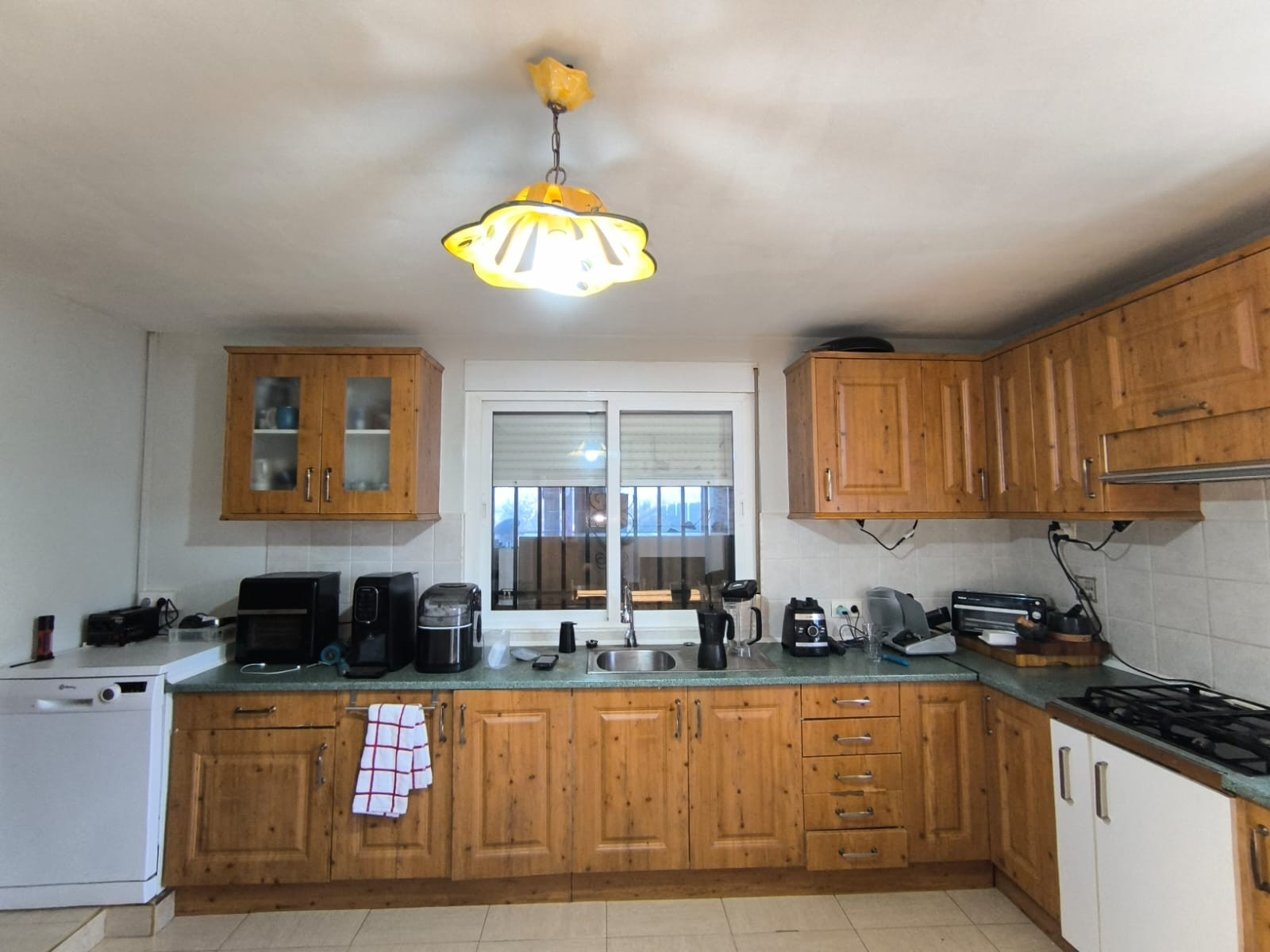 Exterior view in villa for sale in Villena