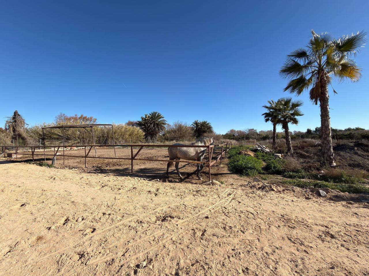 Master bedroom in land for sale in Algorfa