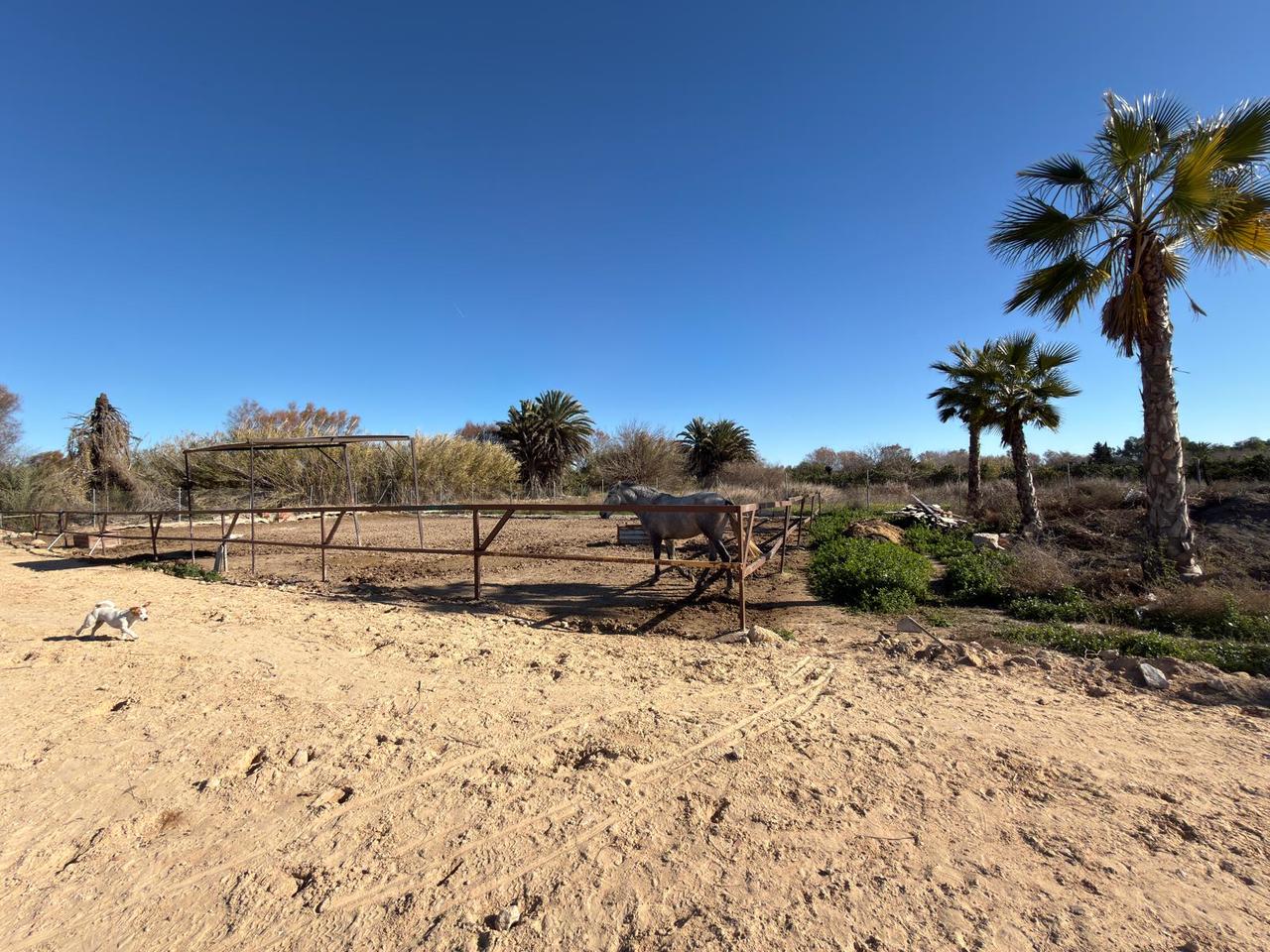 Pool area in land for sale in Algorfa