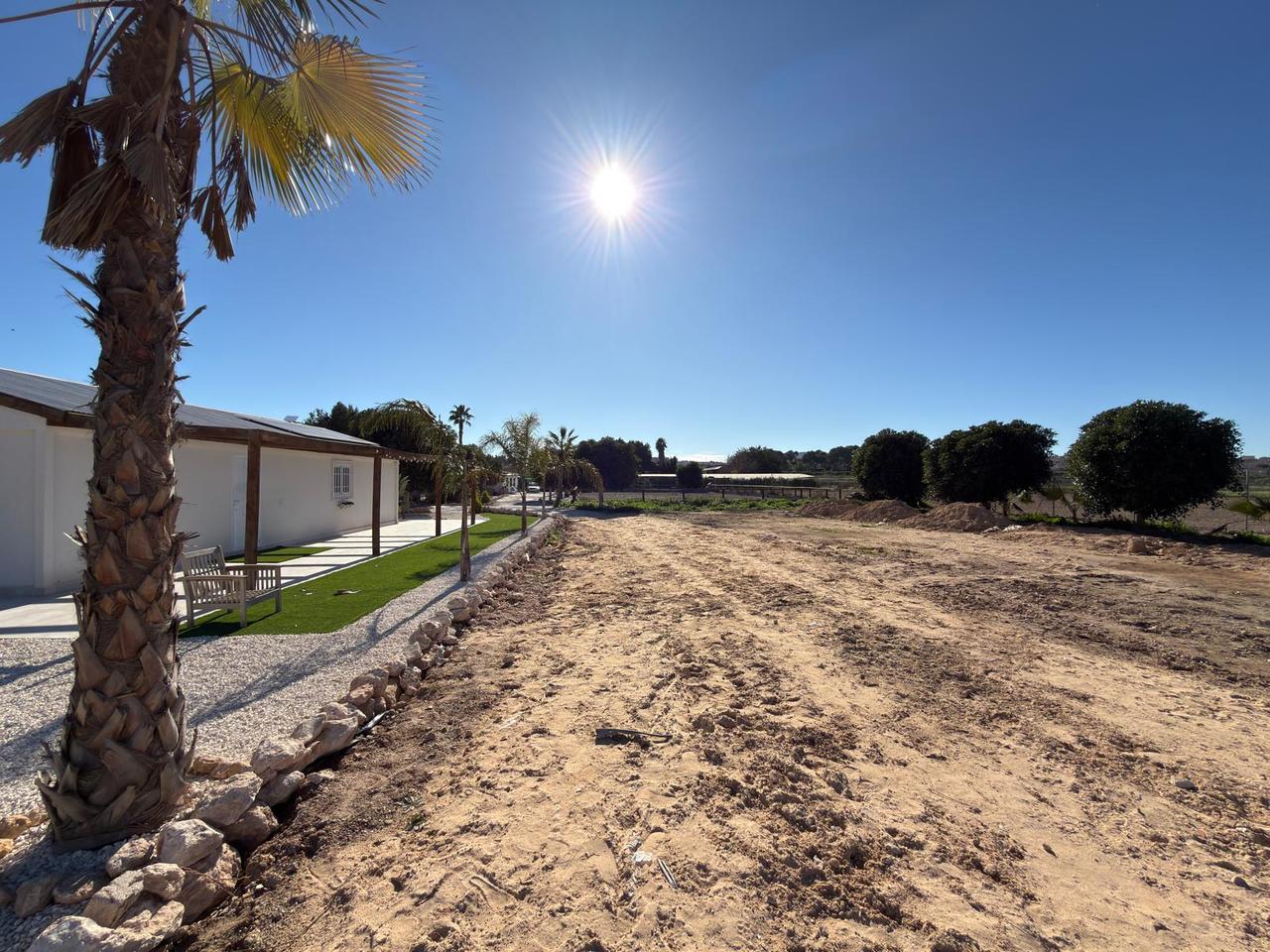 Garden in land for sale in Algorfa