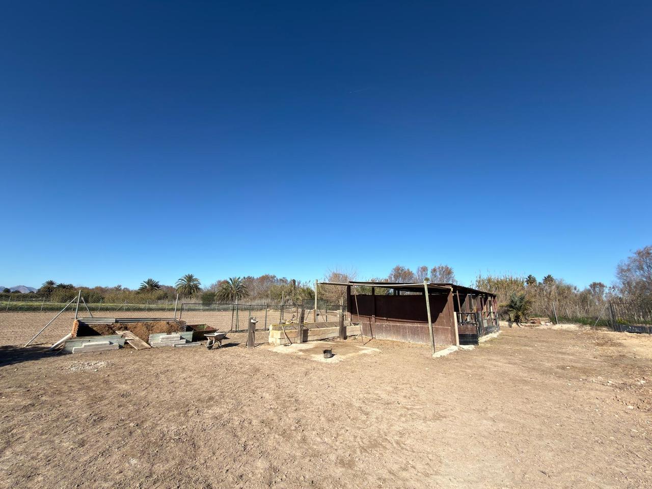 Living room in land for sale in Algorfa