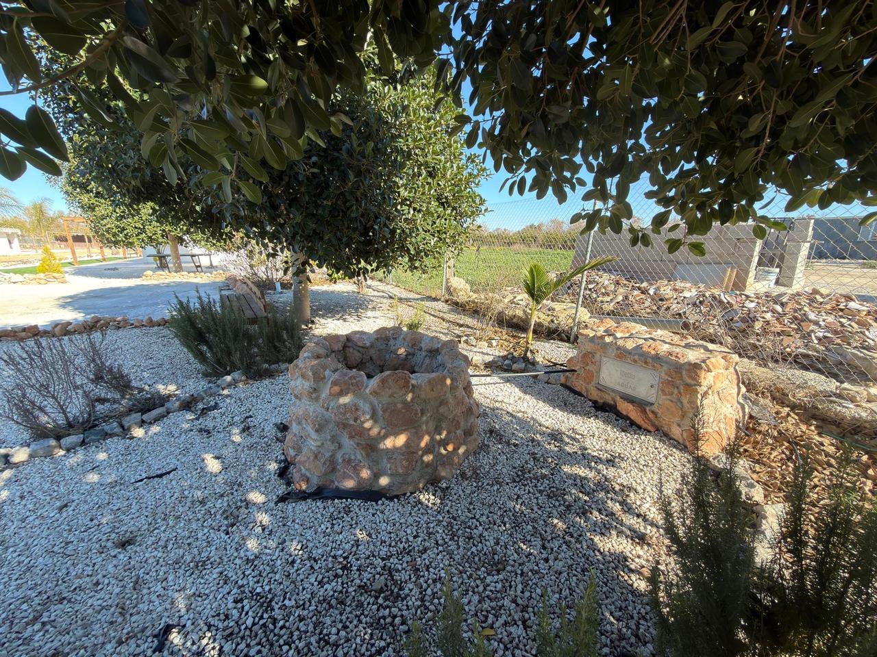 Garden in land for sale in Algorfa