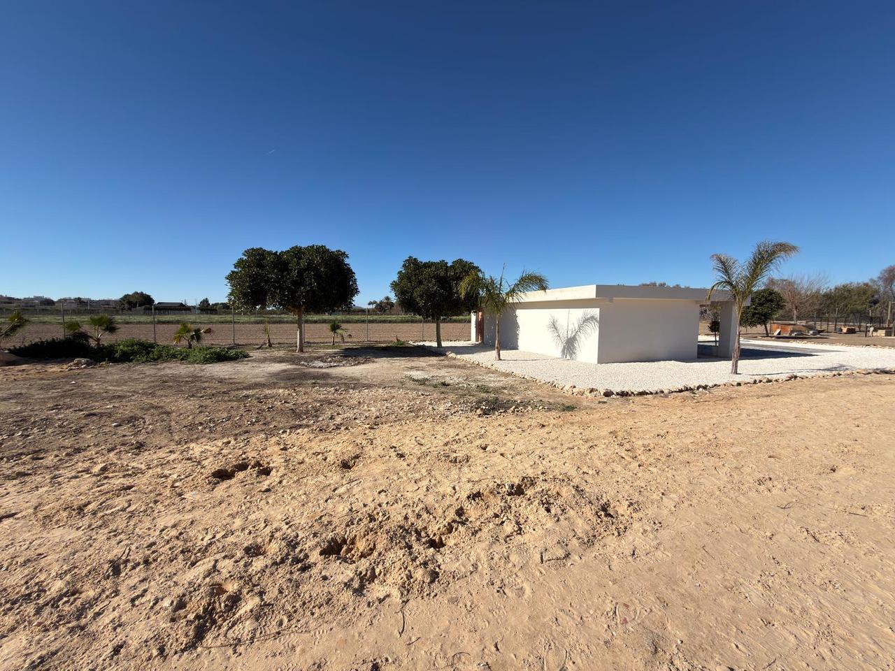 Garden in land for sale in Algorfa