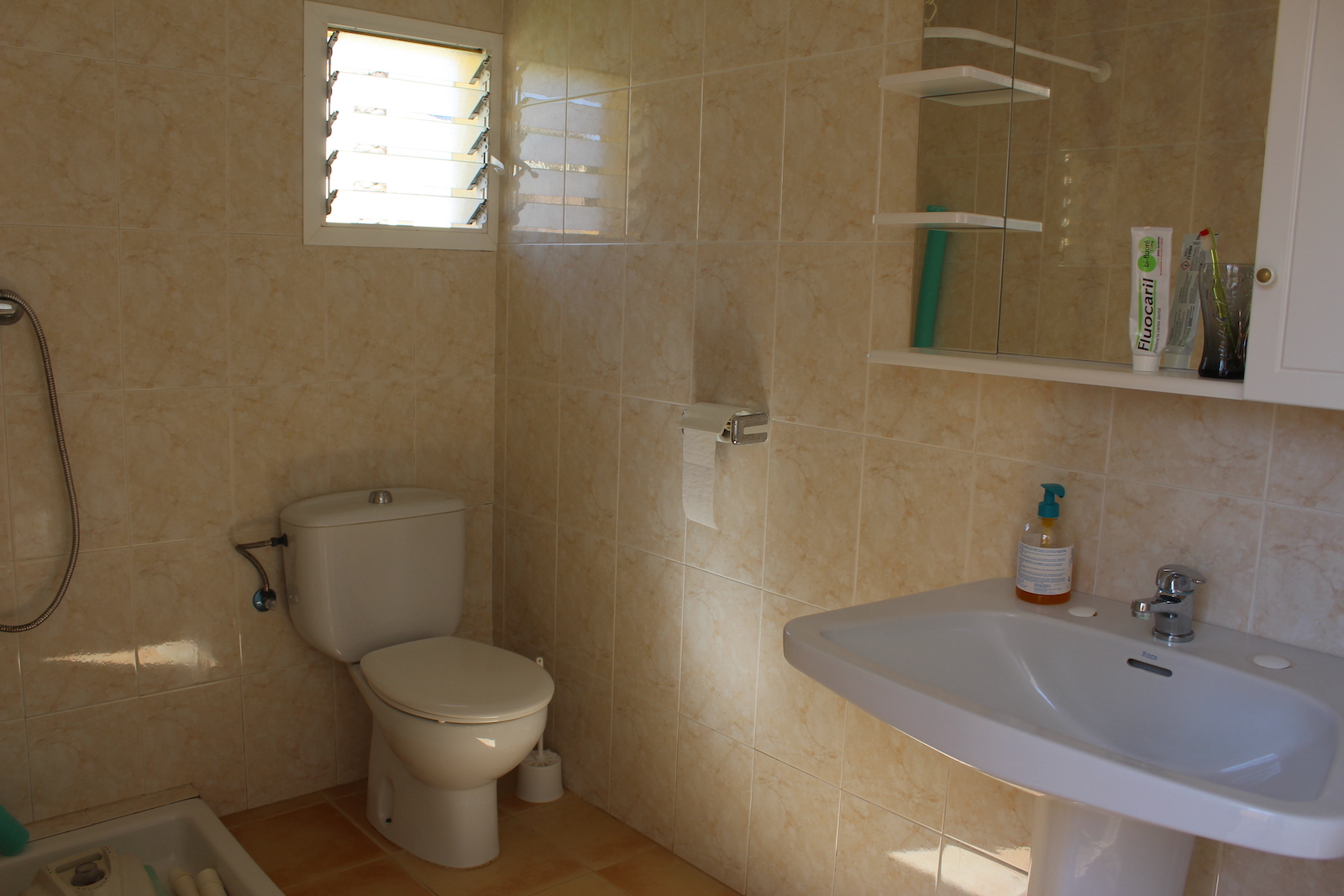 Pool area in villa for sale in L'Eliana
