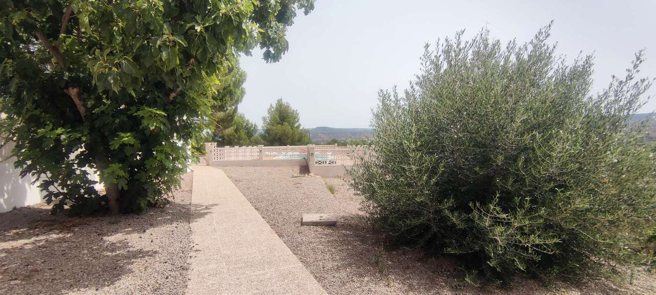 Terrace in commercial for sale in Ayora