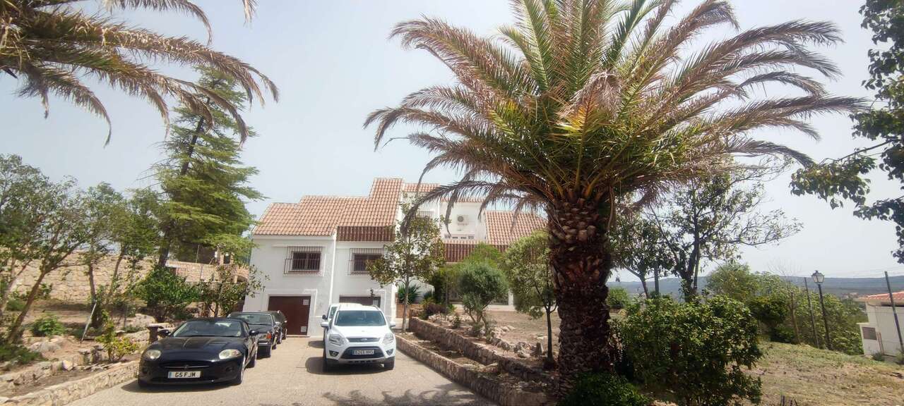 Pool area in commercial for sale in Ayora