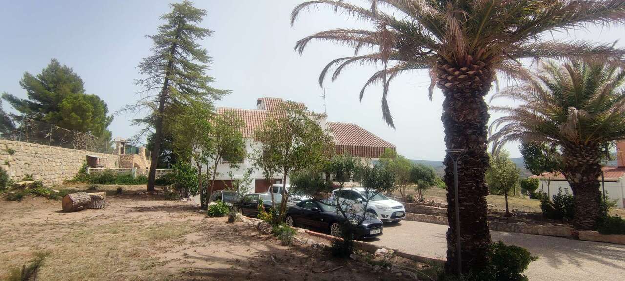 Garden in commercial for sale in Ayora