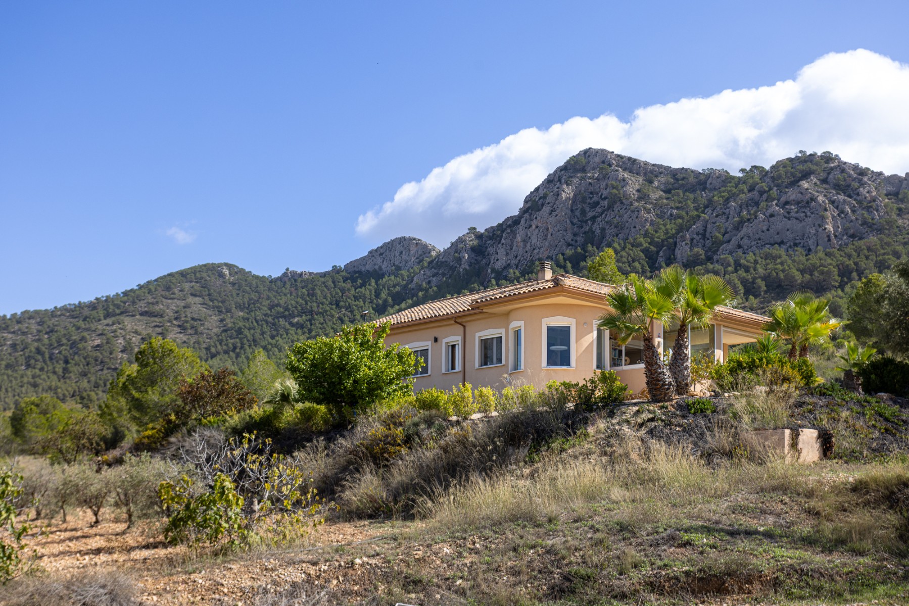 Bathroom in villa for sale in La Zarza