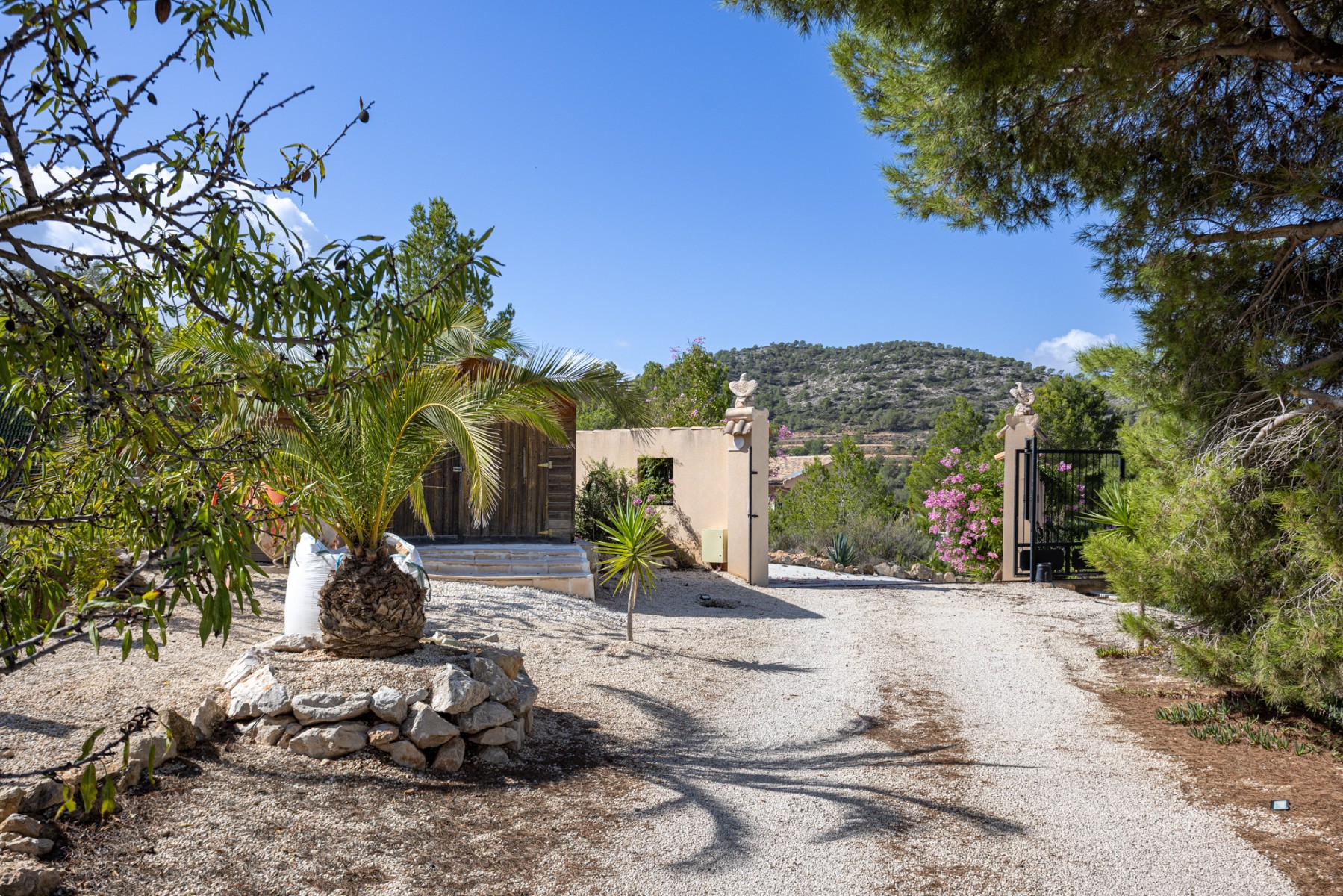 Garden in villa for sale in La Zarza