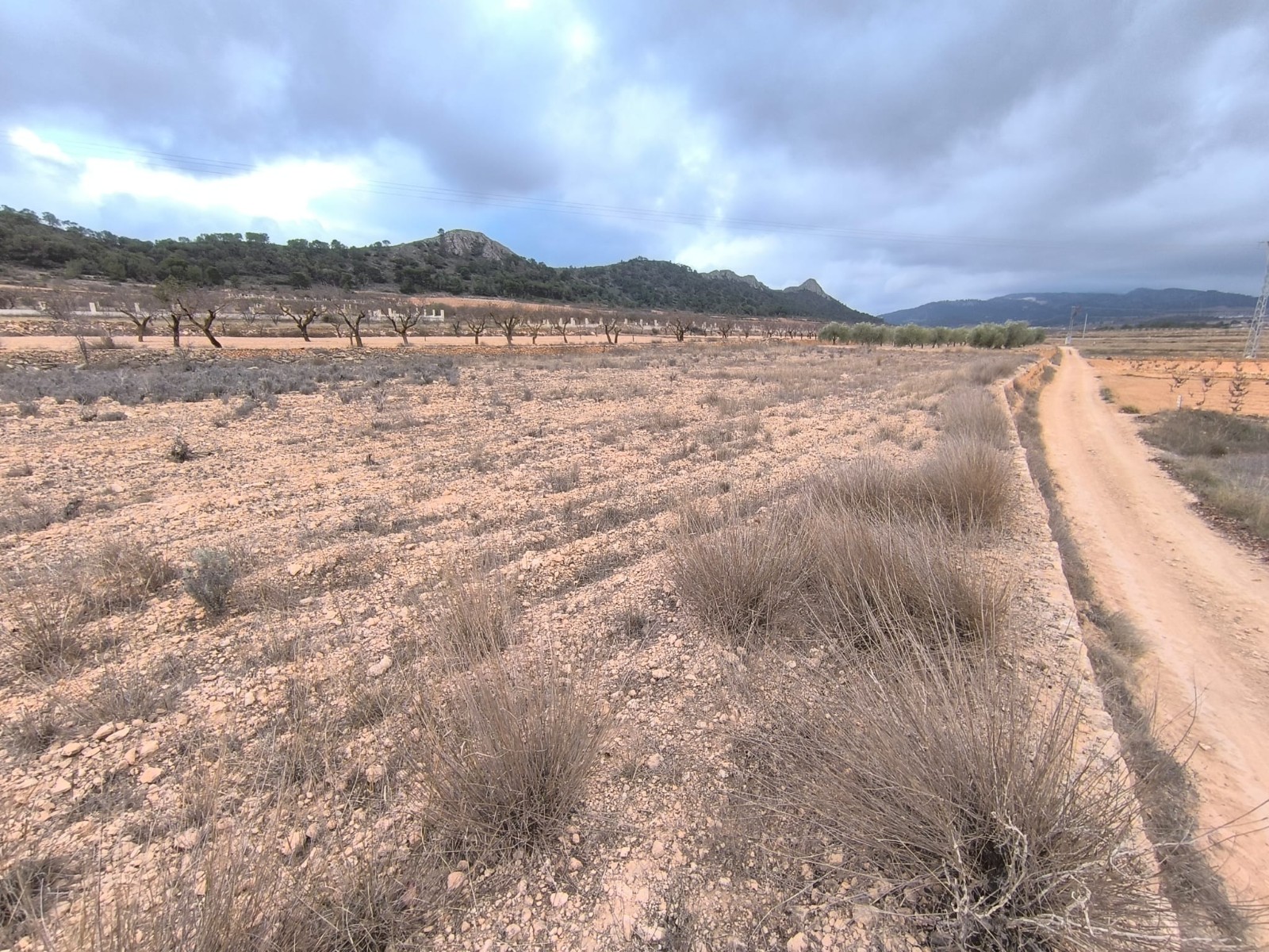 Plot of 3132 m2 for sale in a picturesque valley, near Pinoso