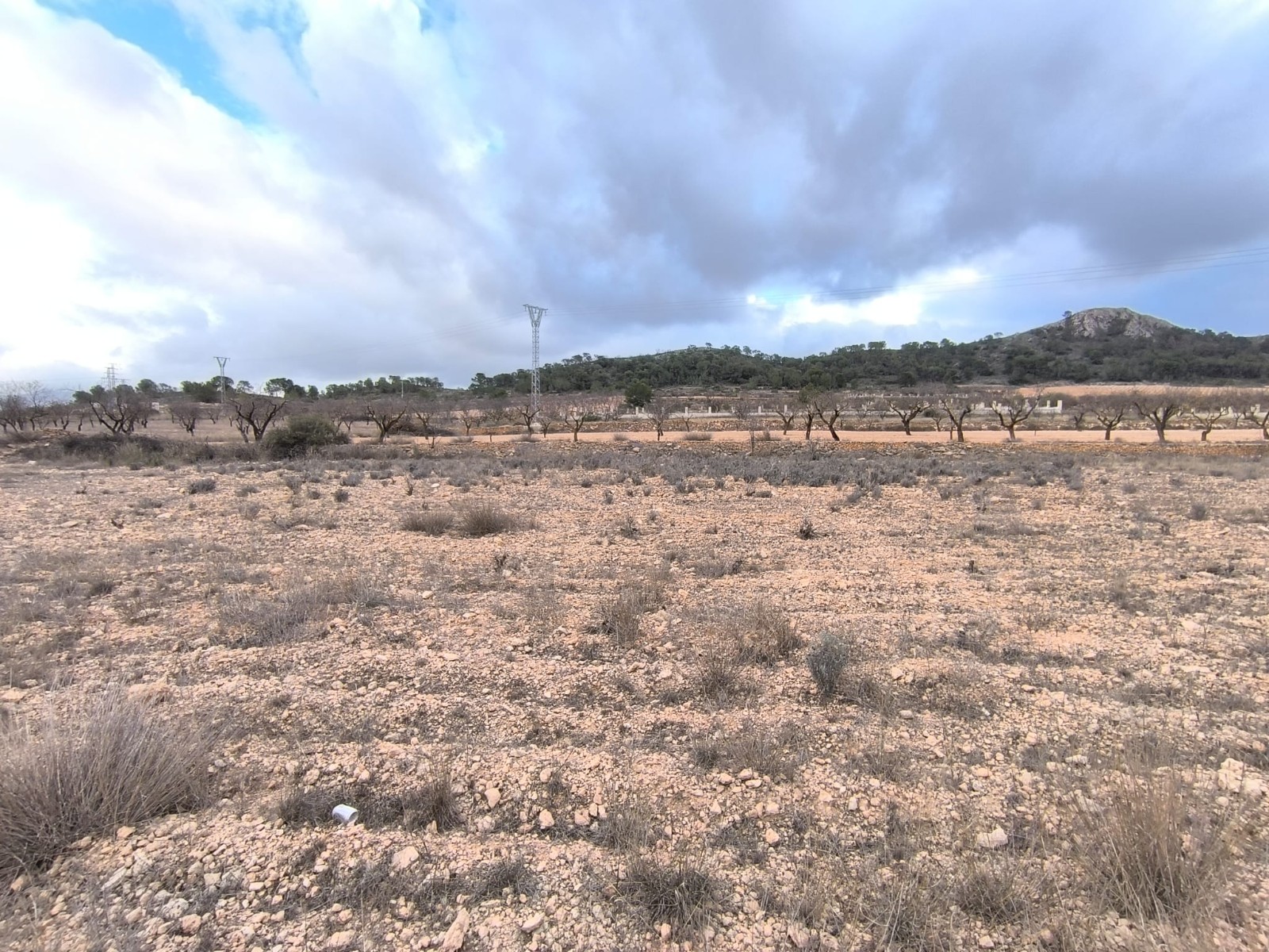 Plot of 3132 m2 for sale in a picturesque valley, near Pinoso
